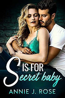S is for Secret Baby ebook cover