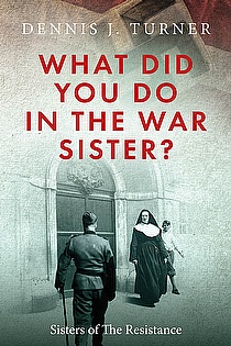 What Did You Do In The War, Sister? ebook cover
