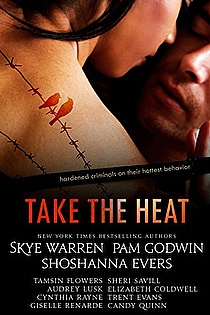 Take the Heat: A Criminal Romance Anthology ebook cover