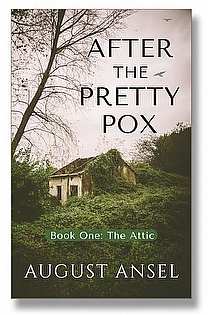 After the Pretty Pox: The Attic ebook cover