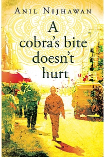 A Cobra's Bite Doesn't Hurt ebook cover