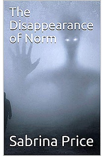 The Disappearance of Norm ebook cover