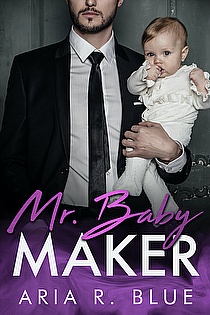 Mr. Baby Maker ebook cover