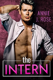 The Intern ebook cover
