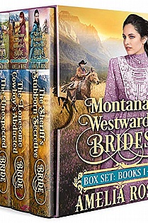 Montana Westward Brides: Books 1-4 ebook cover