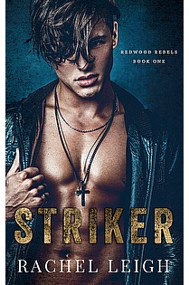 Striker ebook cover
