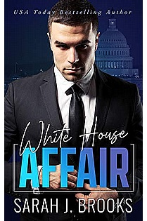 White House Affair ebook cover