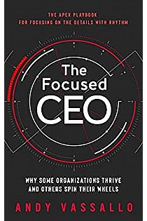 The Focused CEO ebook cover