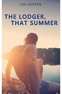 The Lodger, That Summer ebook cover
