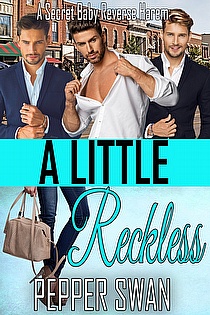 A Little Reckless ebook cover