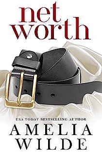 Net Worth ebook cover
