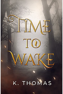 Time to Wake ebook cover