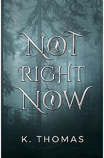Not Right Now ebook cover