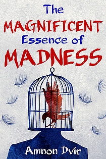 The Magnificent Essence of Madness ebook cover