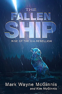 The Fallen Ship ebook cover