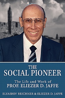 The Social Pioneer ebook cover
