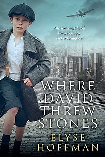 Where David Threw Stones ebook cover