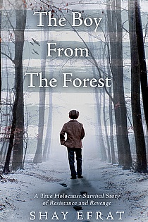 The Boy From The Forest ebook cover