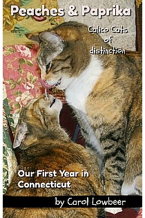 Peaches and Paprika: Our First Year in Connecticut ebook cover