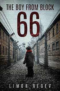 The Boy From Block 66 ebook cover