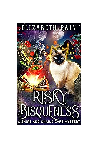 Risky Bisqueness ebook cover