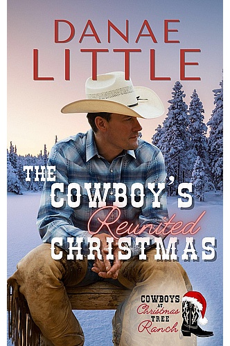 The Cowboy's Reunited Christmas ebook cover