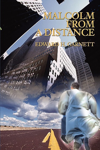 Malcolm from a Distance ebook cover