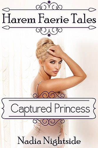 Harem Faerie Tales - Captured Princess ebook cover