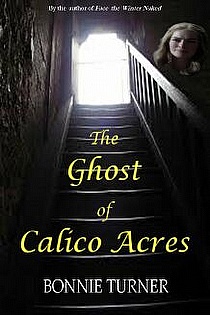 The Ghost of Calico Acres ebook cover