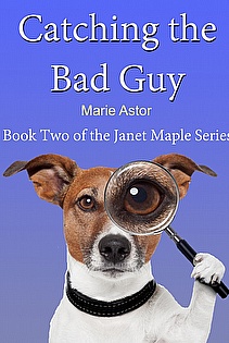 Catching the Bad Guy ebook cover