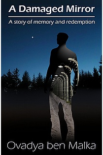 A Damaged Mirror ebook cover