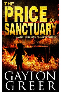 The Price of Sanctuary ebook cover