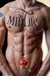 Midlife (A Crazy Stupid Love Story) ebook cover