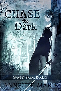 CHASE THE DARK ebook cover
