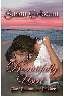 Beautifully Used ebook cover