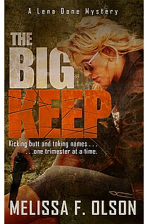 The Big Keep ebook cover