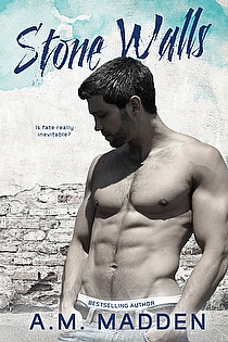 Stone Walls ebook cover