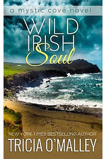 Wild Irish Soul ebook cover