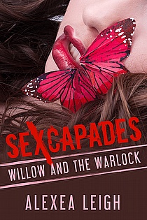 Willow and the Warlock ebook cover