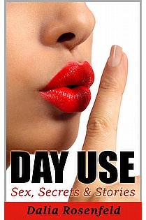 Day Use: Sex, Secrets & Stories ebook cover