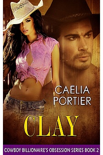 Clay ~ Cowboy Billionaire's Obsession: ebook cover