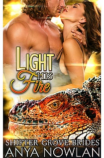 Light His Fire ebook cover