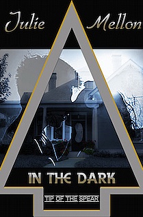 In the Dark: Tip of the Spear Book 2 ebook cover