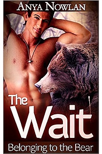 The Wait ebook cover