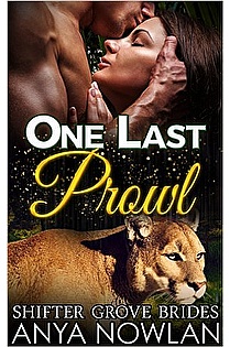 One Last Prowl ebook cover