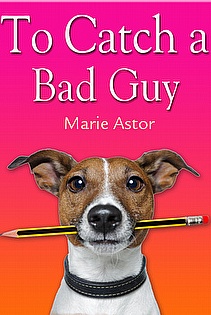 To Catch A Bad Guy ebook cover