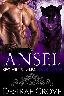 Ansel ebook cover