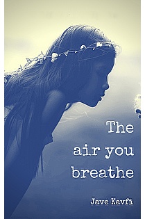 The Air You Breathe ebook cover