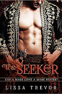 The Seeker ebook cover