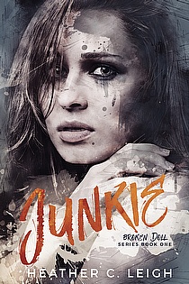 Junkie ebook cover